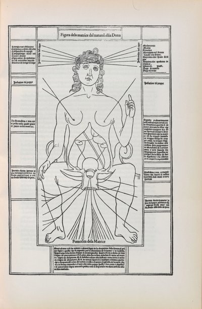Illustration from Fasciculo di Medicina by Johannes de Ketham by Unbekannt