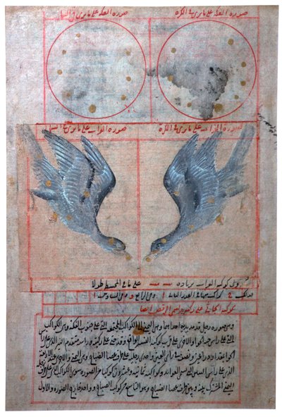 Illustration of the Constellations of the Southern Hemisphere, 16th century by Unbekannt