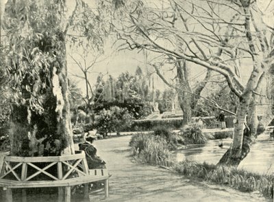 In the Botanic Gardens, Adelaide by Unbekannt