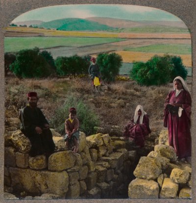 In the Shepherds Field, Bethlehem, c1900 by Unbekannt