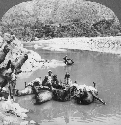 Inflated Bullock Skins Used as Ferry Boats on the Sutlej River, Punjab, India by Unbekannt