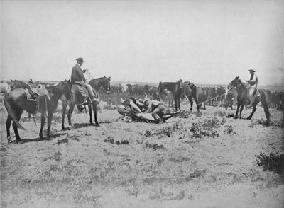 Inspecting a Brand on the Prairies by Unbekannt