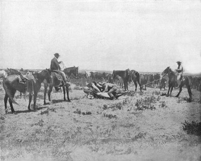Inspecting a brand on the Prairies, USA by Unbekannt
