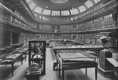 Interior of the Geological Museum, Jermyn Street by Unbekannt