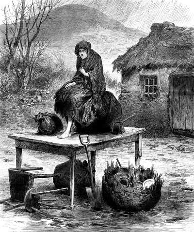 Irish peasant girl guarding the family