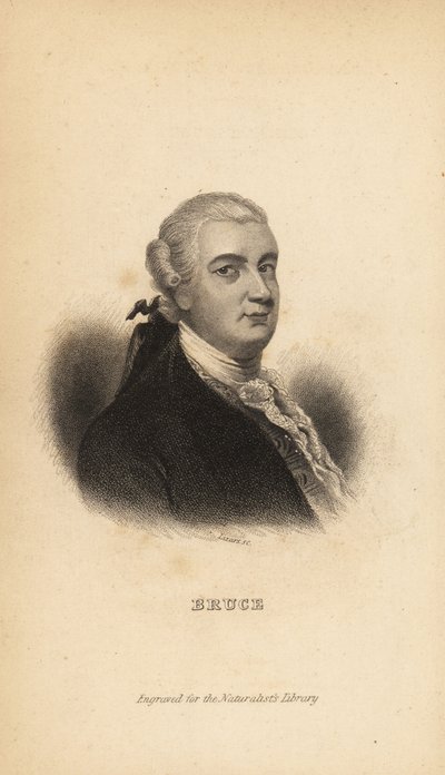 James Bruce of Kinnaird, Scottish explorer, writer and naturalist by Unbekannt