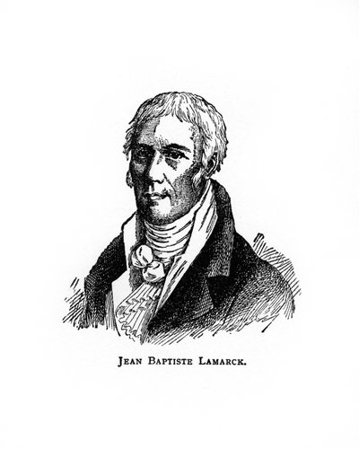 Jean-Baptiste Lamarck, 20th century by Unbekannt