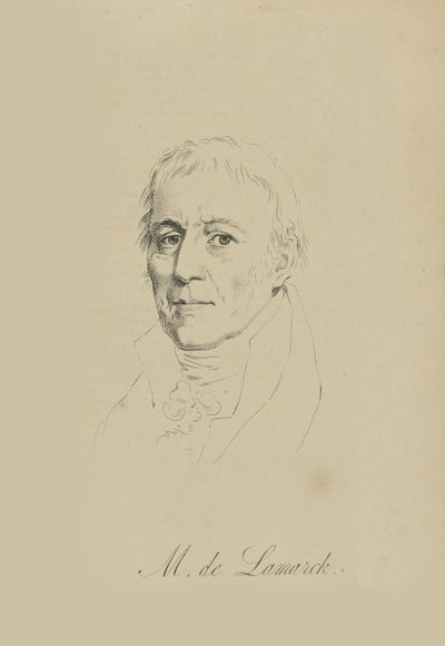 Jean-Baptiste Pierre Antoine de Monet, Chevalier de Lamarck, c1810 by Unbekannt