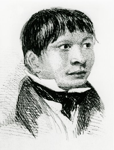 Jemmy Button, the Fuegian Adopted by the Fitzroy Expedition, as He Appeared in 1833 by Unbekannt