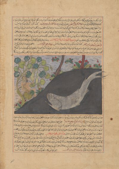 Jonah and the Whale, Folio from a Majma