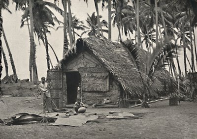 Coconut Palms and Native Hut Made of Coconut Leaves by Unbekannt