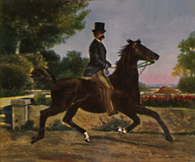 King Humbert I of Italy - Painting by Palizzi by Unbekannt