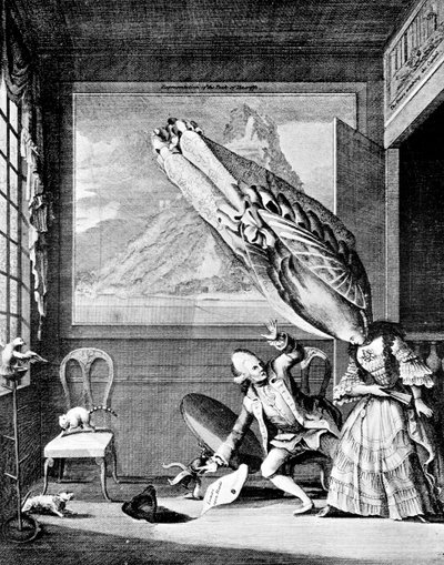 The French Lady in London or The Head-dress of the Year by Unbekannt