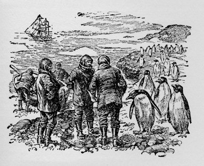 Landed on a Small Island Inhabited by Myriads of Penguins by Unbekannt