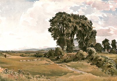 Landscape, near Wareham, Dorset - an Outdoor Sketch by Unbekannt