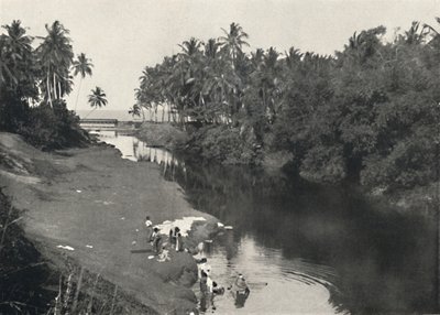 Landscape by the River near Dehiwala, Between Colombo and Mount Lavinia, 1926 by Unbekannt