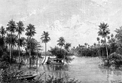 Las Palmes Lagunas, near the mouth of the Pilcomayo, 1895 by Unbekannt