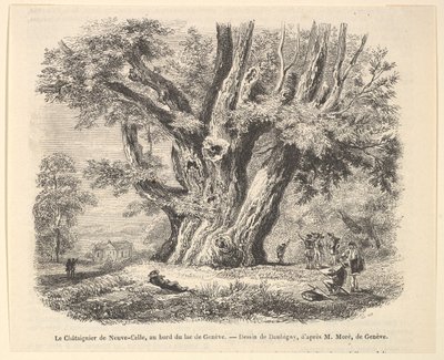 Le Châtaignier de Neuve-Celle, au bord du lac de Genève, after Daubigny by Unbekannt