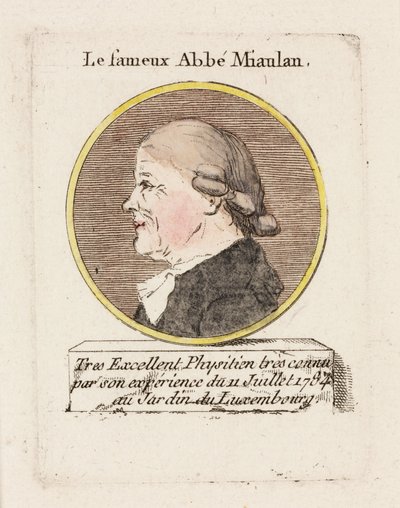 The famous Abbe Miaulan, c 1784 by Unbekannt