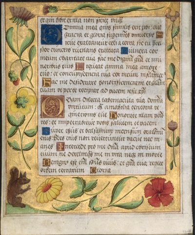 Leaf from a Psalter and Prayerbook: Ornamental Border with Flowers and Squirrel verso by Unbekannt