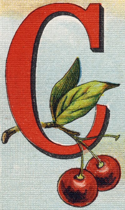 Letter C: Cherries by Unbekannt