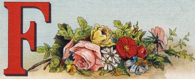 Letter F: Flowers by Unbekannt