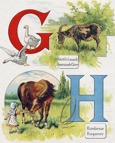 Letter G and H: Good ducks, greedy goat, boldness and Haquenee. Engraving in "ABC L
