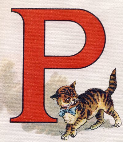Letter P: Little Cat by Unbekannt