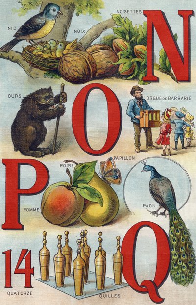 Letters N O P Q; Nest; Hazelnuts; Pickly Organ; Bear; Peacock; Butterfly Apple Pear; Bowls (Engraving in "Alphabet de ma petite fille") by Unbekannt