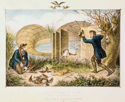 Lincolnshire Duck Decoy, c. 1845 by Unbekannt