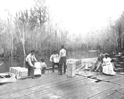 Loading Oranges on the Ocklawaha River, Florida, USA by Unbekannt