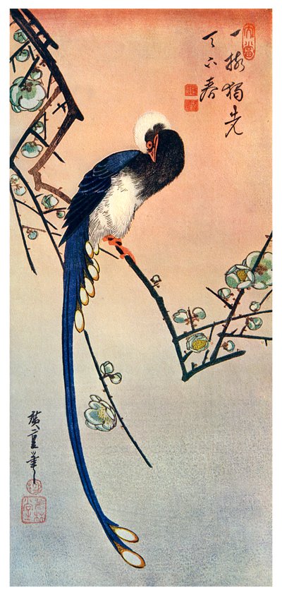 Long Tailed Blue Bird on Branch of Plum Tree in Blossom, 19th Century by Unbekannt
