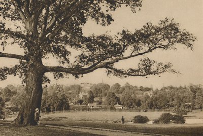 Looking from the Green Slopes of Caen Wood Towards the Church Spire of Old Highgate (c. 1935) by Unbekannt