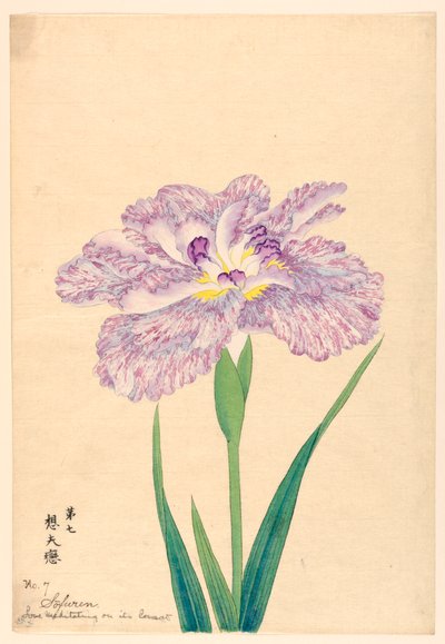 Love Meditating on Its Consort, No. 7, ca. 1910 by Unbekannt