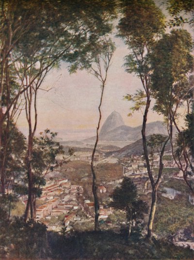 Luxuriant Woods on the Hill of Santa Thereza Looking Down Upon the Roofs of Lapa by Unbekannt