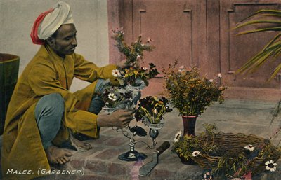 Malee. Gardener by Unbekannt