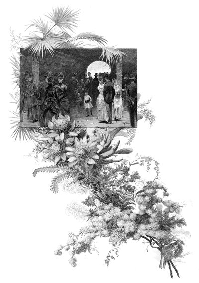 Manly wild flower show, Sydney, New South Wales, Australia, 1886 by Unbekannt