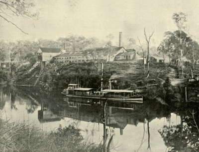 Meat Works, near Grafton, New South Wales by Unbekannt