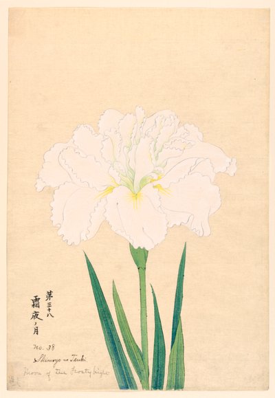 Moon of the Frosty Night, No. 38, ca. 1910 by Unbekannt
