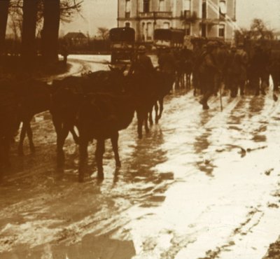 Mule train with supplies, Verdun, northern France by Unbekannt