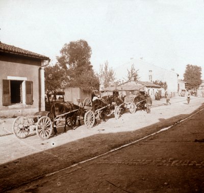 Mule Wagons with Supplies, Verdun, Northern France by Unbekannt