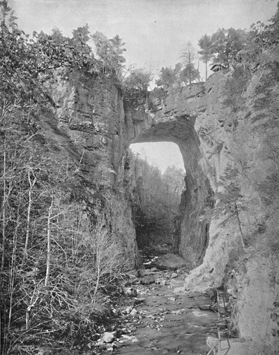 Natural Bridge, Virginia by Unbekannt