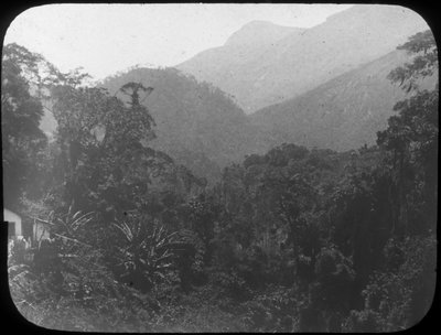 Near Petrópolis, Rio de Janeiro, Brazil by Unbekannt