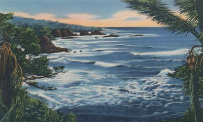 North Coast, Trinidad, B.W.I. by Unbekannt