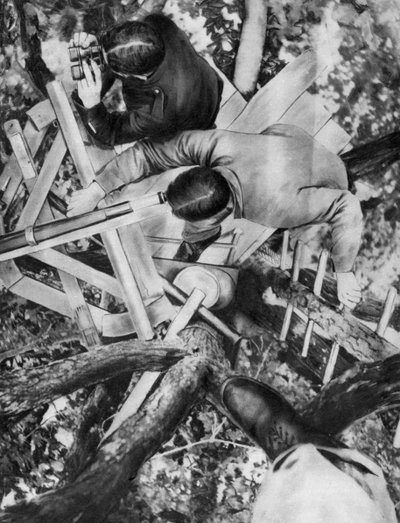 Observation post in a tree, Woevre, France, World War I by Unbekannt