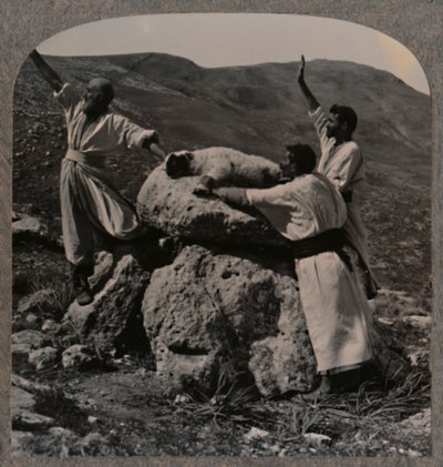 Offering sacrifice of lamb on Altar, Moreh by Unbekannt