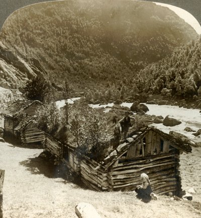 Old Log Houses in Bratslandsdal, with Trees Growing on Sod-covered Roofs, Norway by Unbekannt