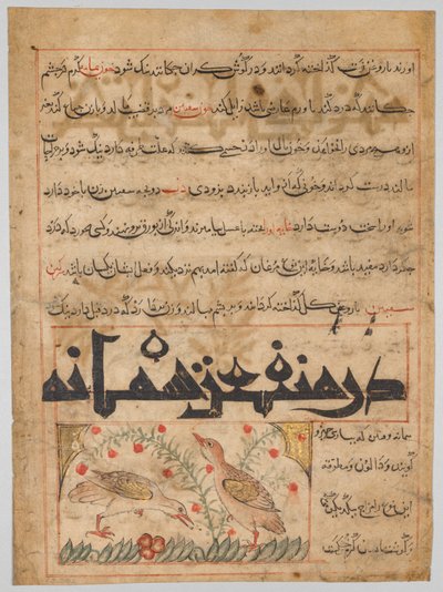 On the Benefits of Quails verso from a Manafi al-Hayawan, c. 1300 by Unbekannt