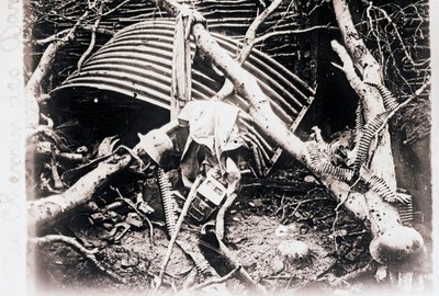 On the Chemin des Dames, northern France, c1914-c1918 by Unbekannt