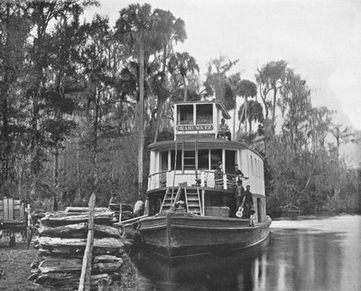 On the Ocklawaha River, Florida, USA by Unbekannt